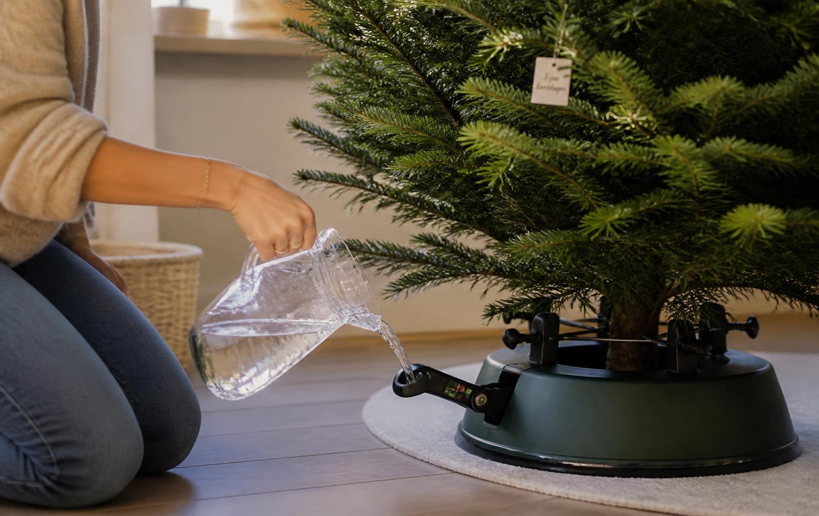 Water geven aan een echte kerstboom in een standaard met waterreservoir